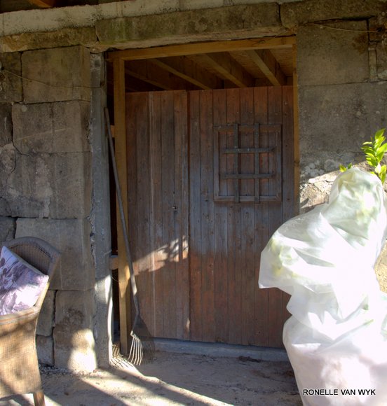 doors of my house.NEF-010