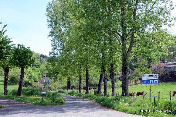 April greens-001