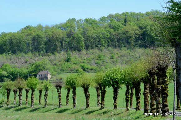 April greens