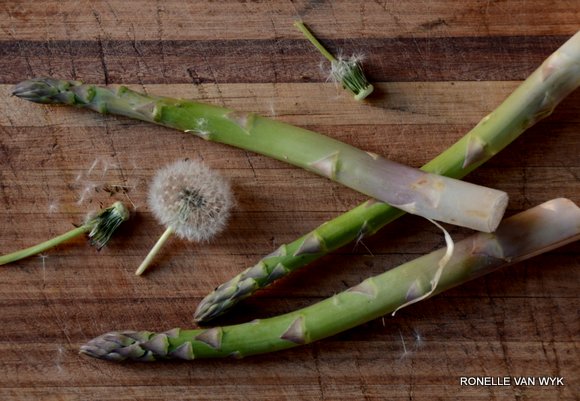asparagus & dandelion seedhead