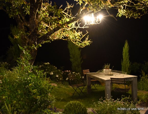 Marinell 30 ans 23-02-2014 07-56-05