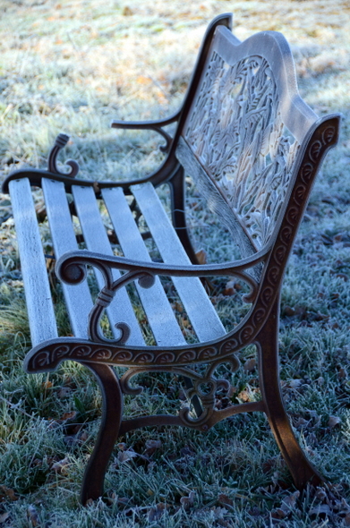 garden-in-januarey-2017-028